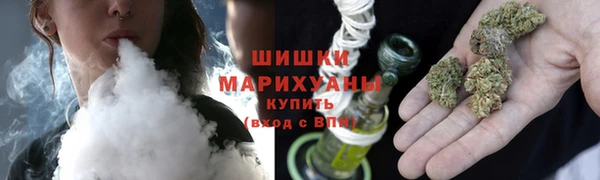 молекула духа Краснослободск