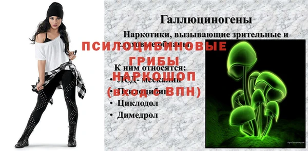 гидропоника Кинешма