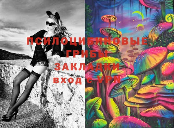 молекула духа Краснослободск
