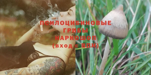 спайс Киренск